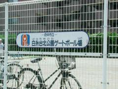 摜@kQ[g{[