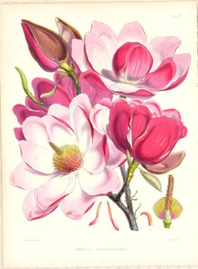 美術館企画展 画像