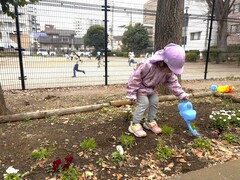 sakuradoori2