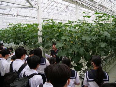 愛知県豊川市立中学校の修学旅行を受け入れましたの画像