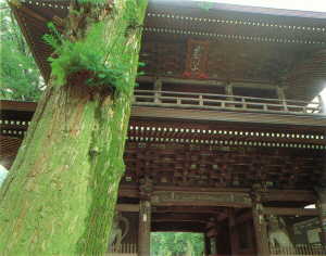 画像　高安寺の山門