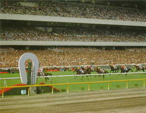 画像　日本ダービーに沸く東京競馬場