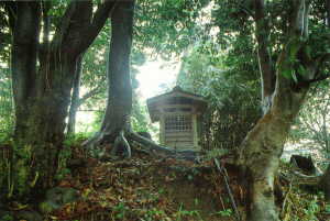 画像　雨の高倉坂