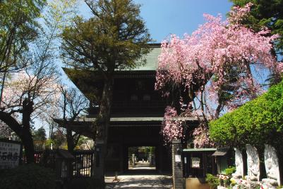 画像　高安寺