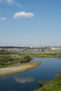 画像　多摩川