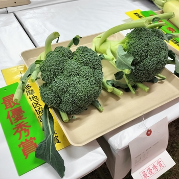 最優秀賞のブロッコリー
