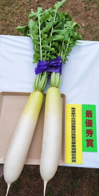 最優秀賞のだいこん