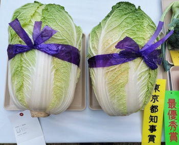 最優秀賞のはくさい