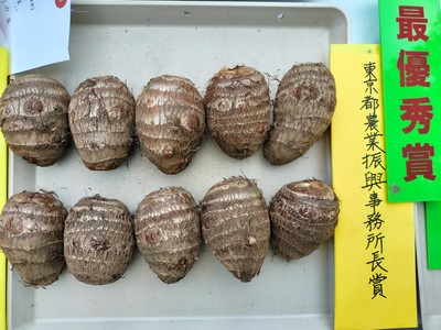最優秀賞のさといも