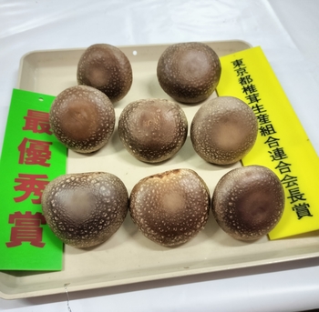 最優秀賞のしいたけ