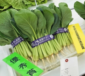 優秀賞のこまつな