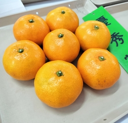 優秀賞のみかん