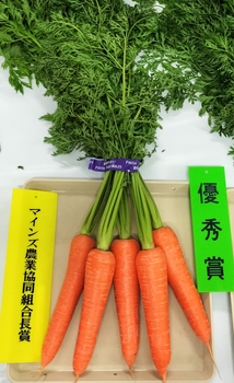 優秀賞のにんじん
