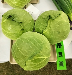 優良賞のきゃべつ