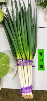 努力賞のねぎ