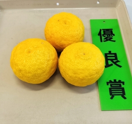 優良賞のゆず