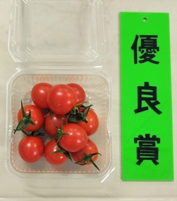 優良賞のミニトマト