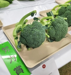 努力賞のブロッコリー