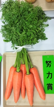 努力賞のにんじん
