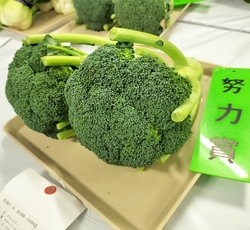 努力賞のブロッコリー