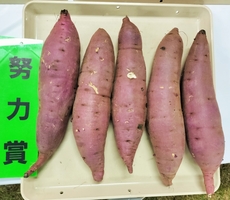 努力賞のかんしょ