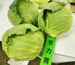 努力賞のきゃべつ