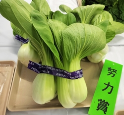 努力賞のチンゲンサイ