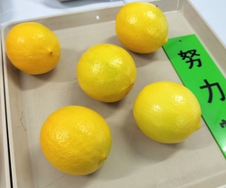 努力賞のレモン