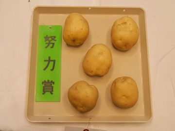 きゅうり