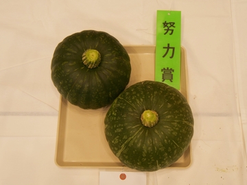かぼちゃ