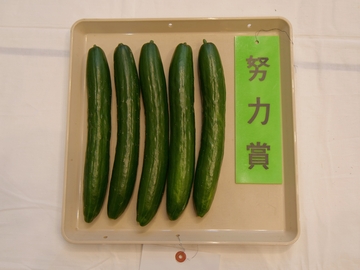 きゅうり
