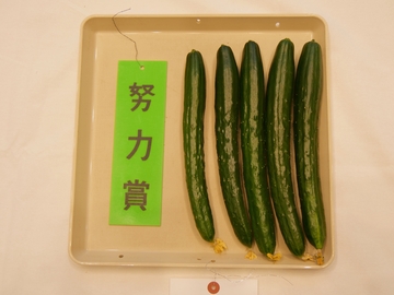 きゅうり