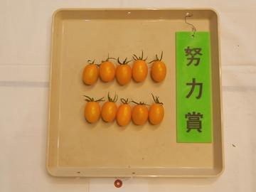 ミニトマト