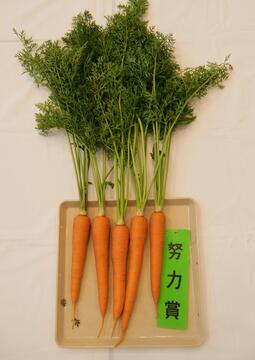 にんじん