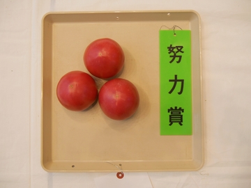 トマト