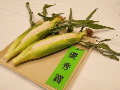 とうもろこし