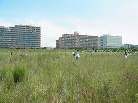 画像　多摩川清掃市民運動実施風景