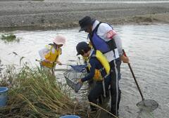 画像　水辺の生き物観察