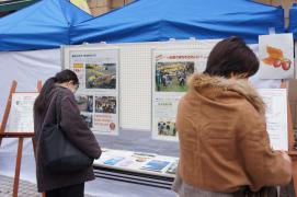 画像　「協働でまちをきれいに」報告パネル展示の様子