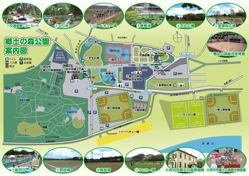 画像　「府中市 郷土の森公園 ガイドマップ」裏面イメージ