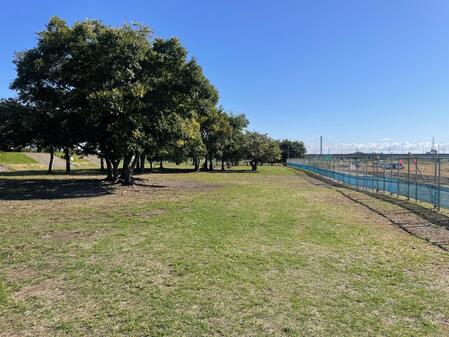 バーベキュー場 工事（フェンス）状況2