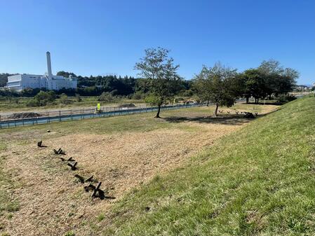 バーベキュー場 工事（フェンス）状況5