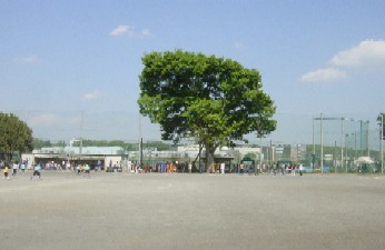 画像　調布基地跡地暫定少年サッカー場