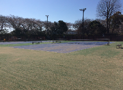 府中 郷土 の 森