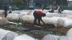 画像 入園者が協力して作業をしている様子