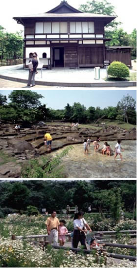 画像 郷土の森博物館設備紹介